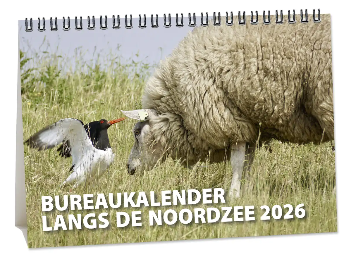 A5 Bureaukalender 2026 Langs De Noordzee