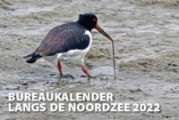 A5 Bureaukalender Langs de Noordzee 2022